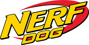 NERF DOG